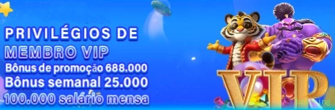 boleking BR